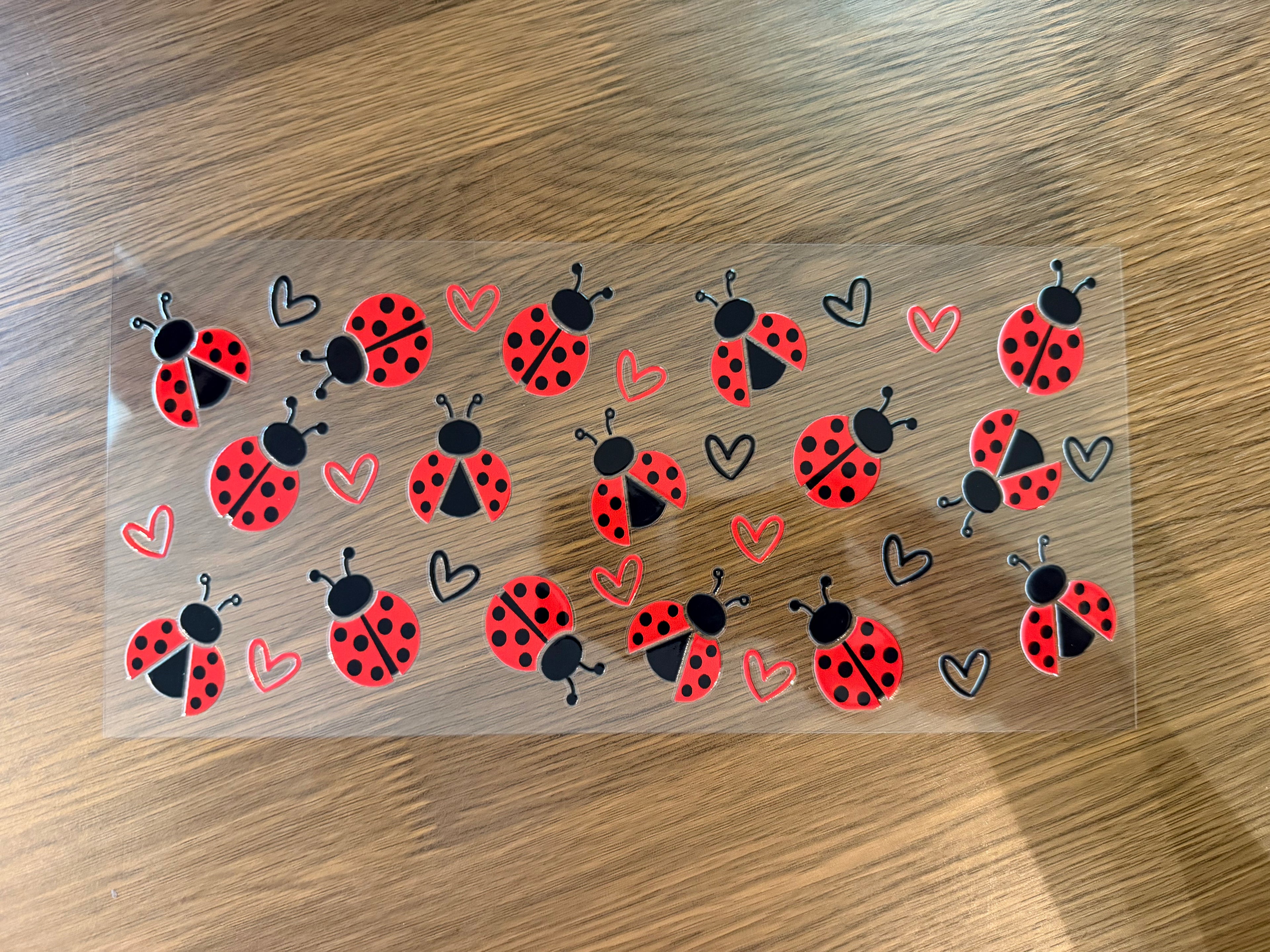 18 Ladybug 16oz